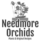 Needmore Orchids